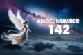
ANGEL NUMBER 142
